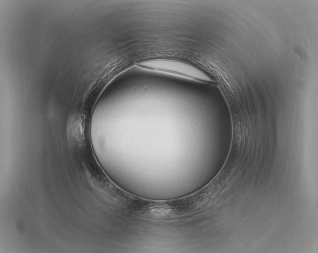 X0000116260214200912141314