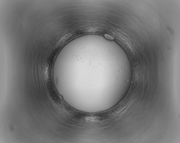 X0000116260216200912141314