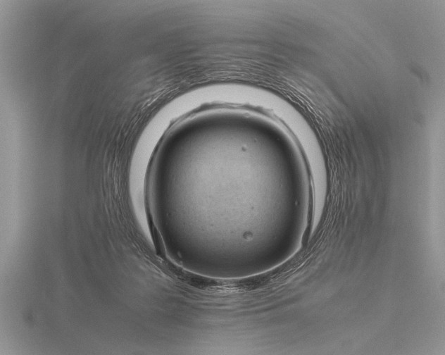 X0000116260219200912141314