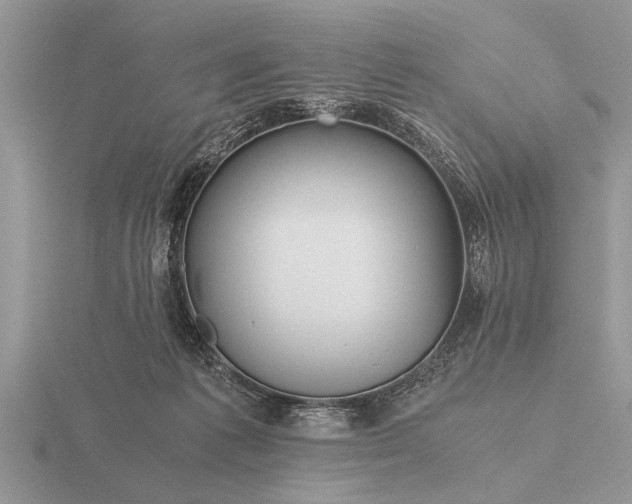 X0000116260221200912141314
