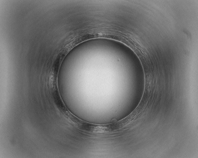 X0000116260222200912141314
