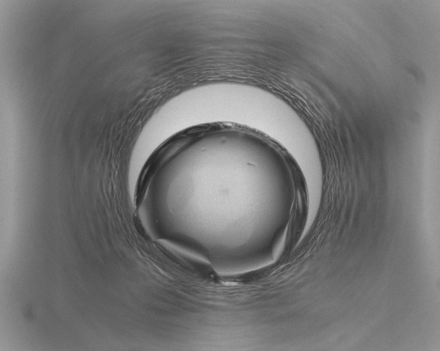 X0000116260223200912141314