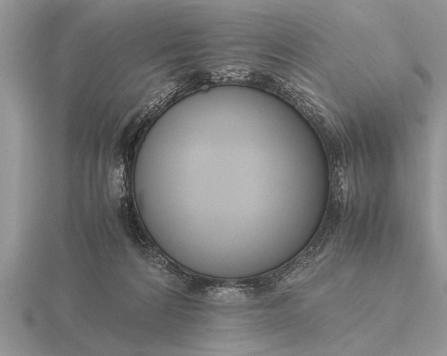 X0000116260224200912141314