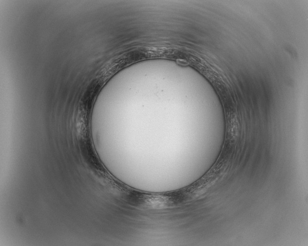 X0000116260226200912141314