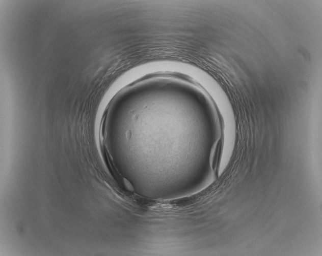 X0000116260227200912141314