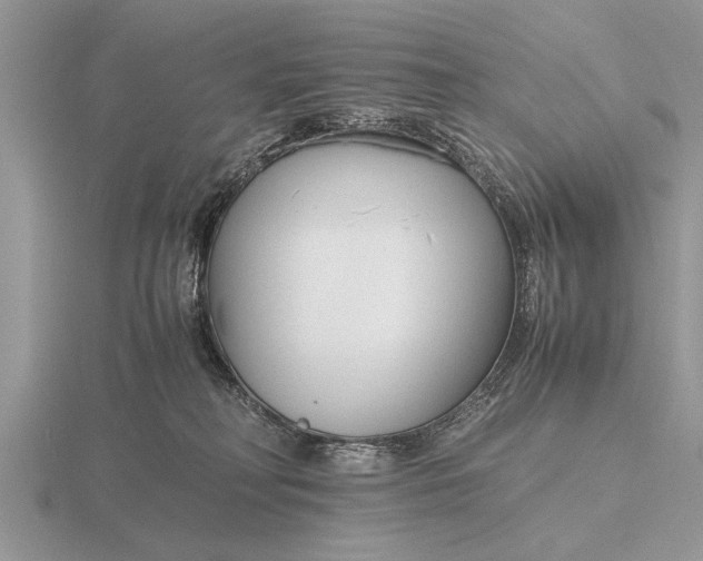 X0000116260230200912141314