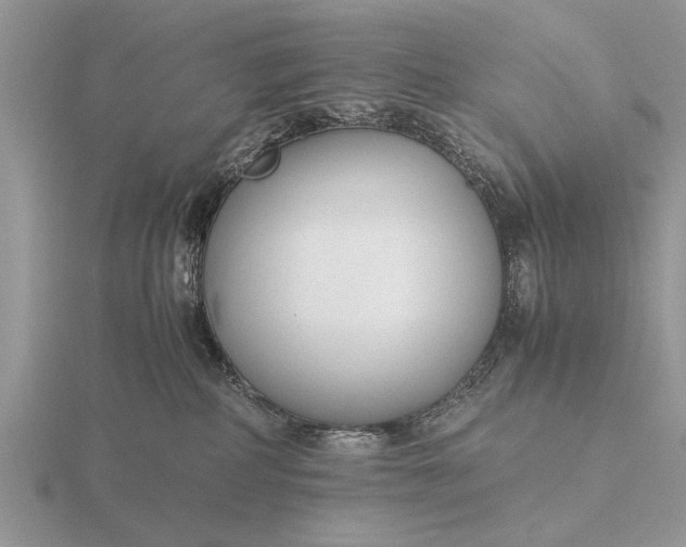 X0000116260234200912141314