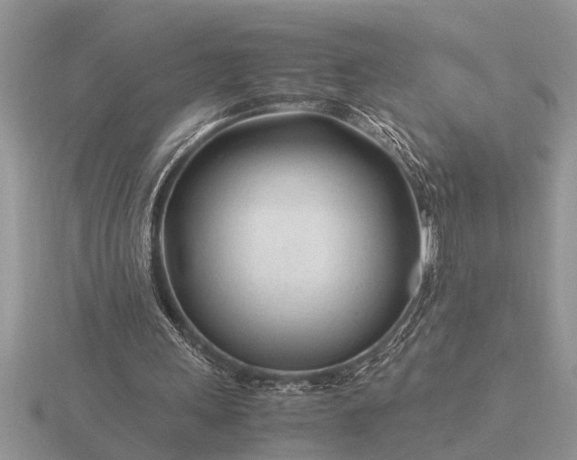 X0000116260243200912141313