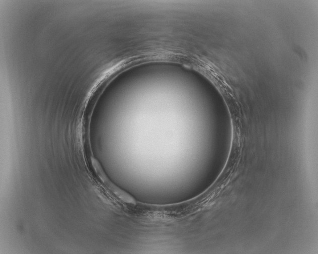 X0000116260244200912141313
