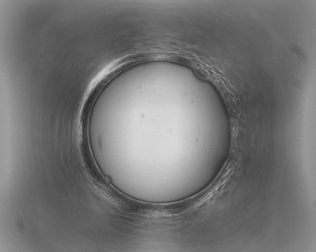 X0000116260246200912141313
