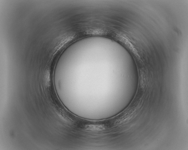 X0000116260251200912141313