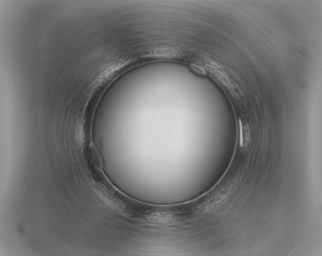 X0000116260252200912141313
