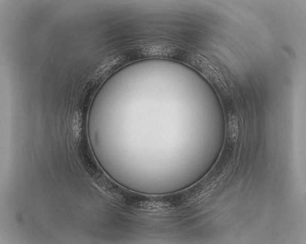 X0000116260255200912141313