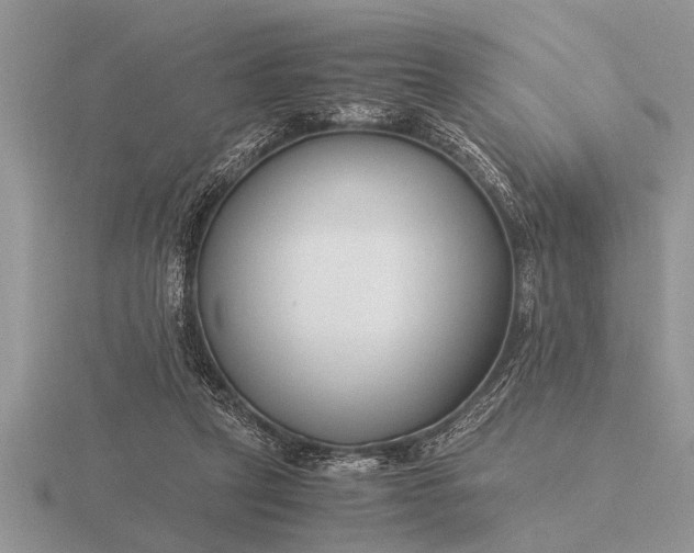 X0000116260257200912141313