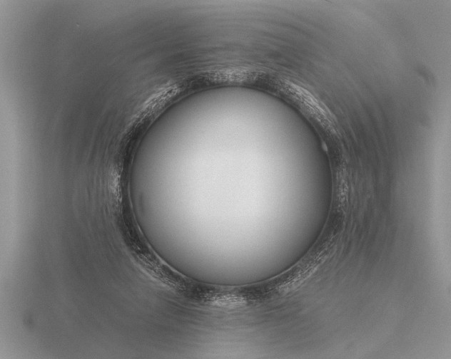 X0000116260258200912141313