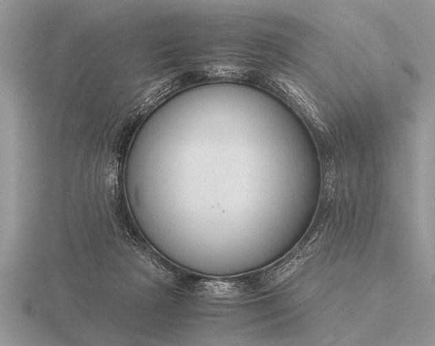 X0000116260265200912141314
