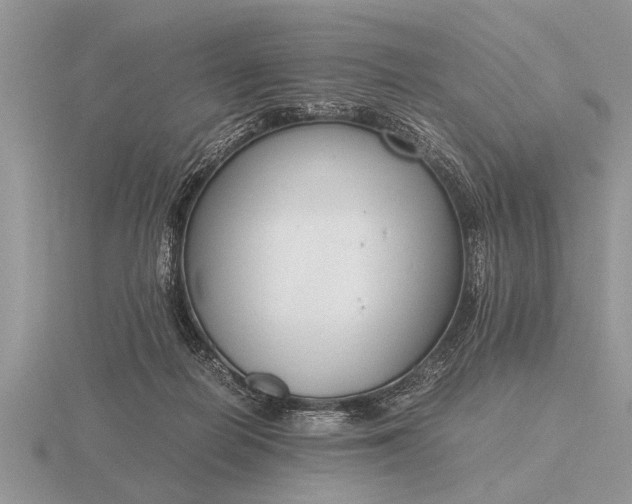 X0000116260266200912141314
