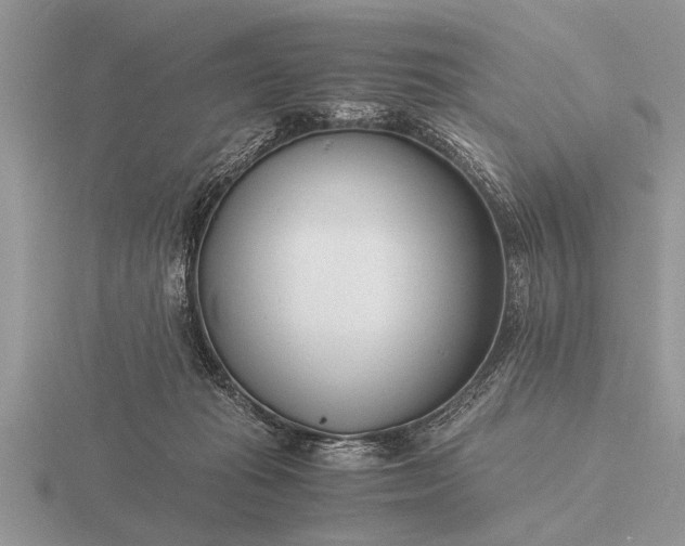 X0000116260269200912141314