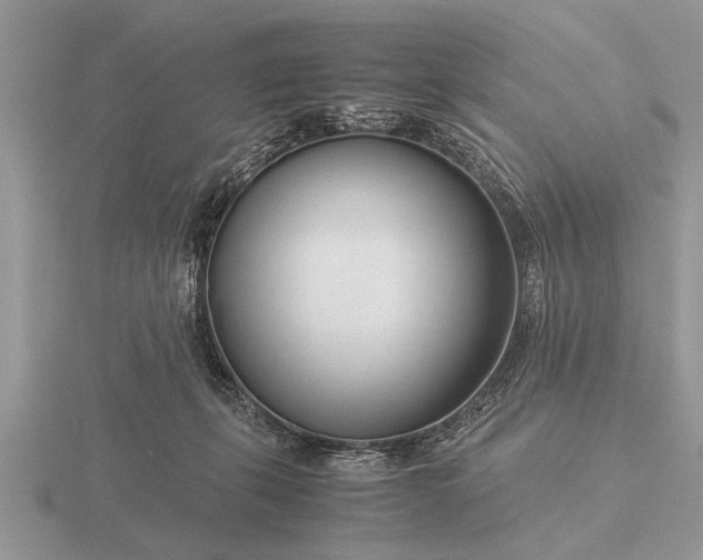 X0000116260271200912141314