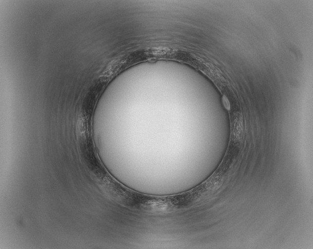 X0000116260272200912141314