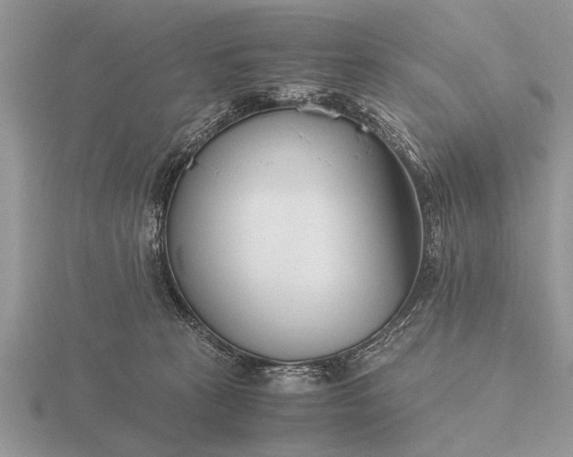 X0000116260273200912141314