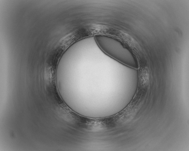 X0000116260276200912141314