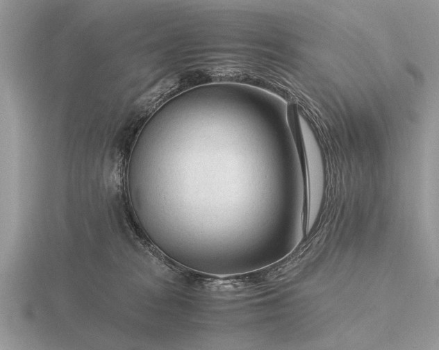 X0000116260277200912141314