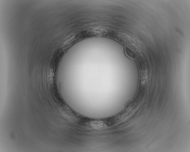 X0000116260279200912141314