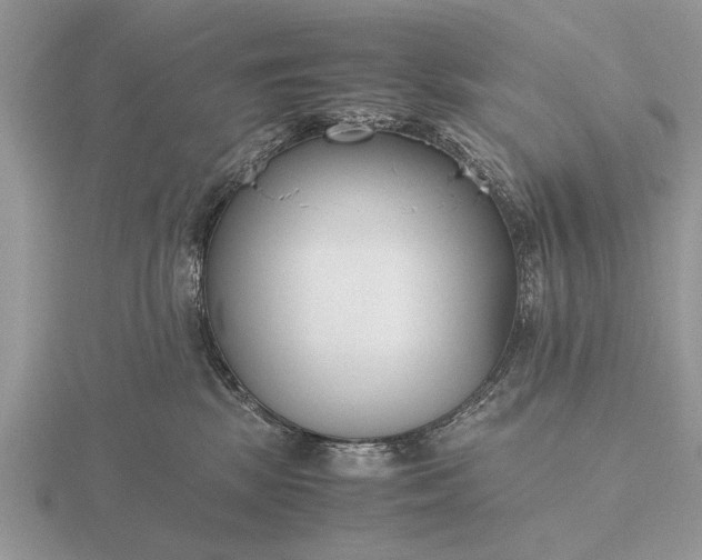 X0000116260281200912141314