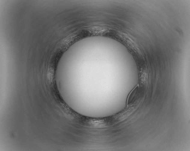 X0000116260283200912141314