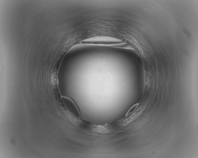 X0000116260285200912141314