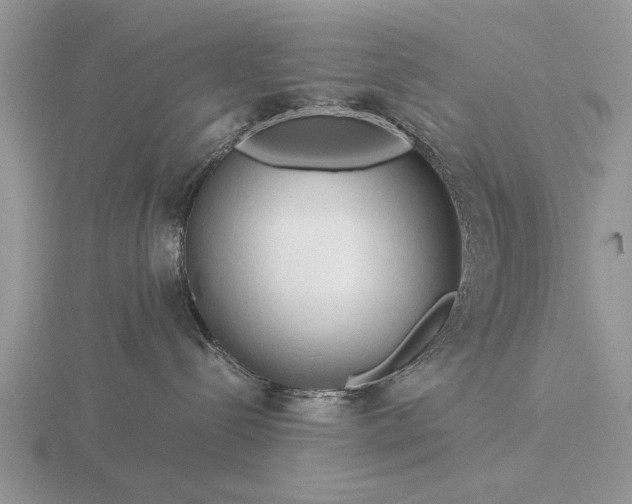 X0000116260288200912141314
