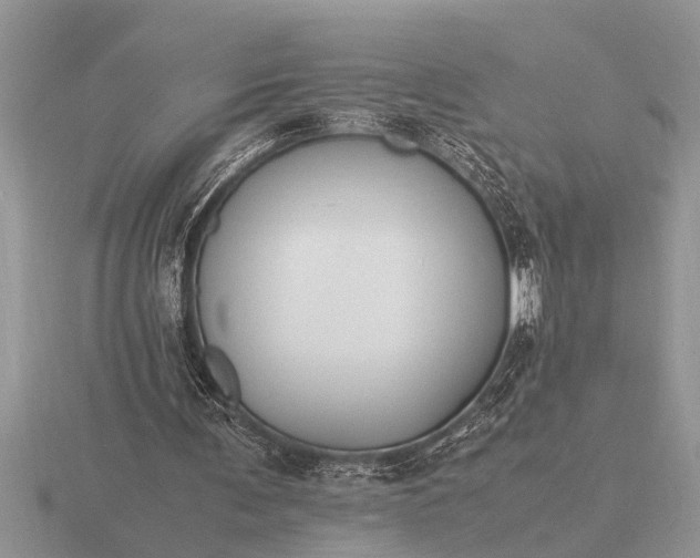 X0000116260291200912141313
