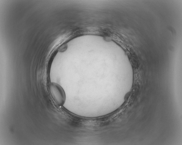 X0000116260293200912141313