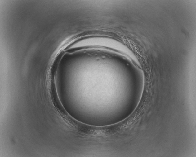 X0000116260295200912141313