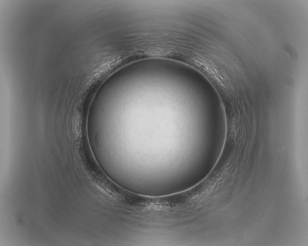 X0000116260303200912141313