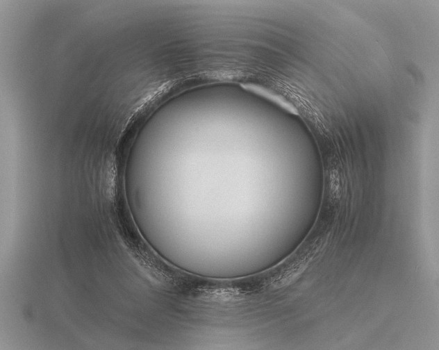 X0000116260304200912141313
