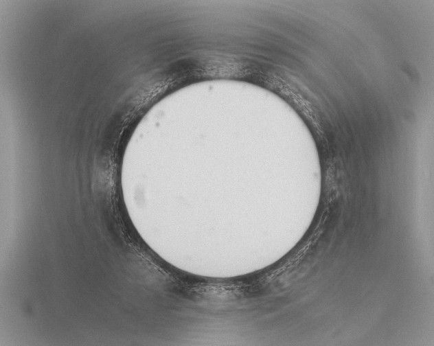 X0000116260305200912141313