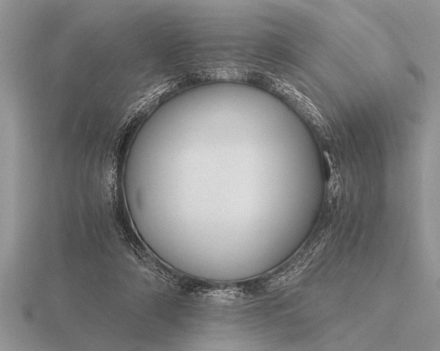 X0000116260306200912141313