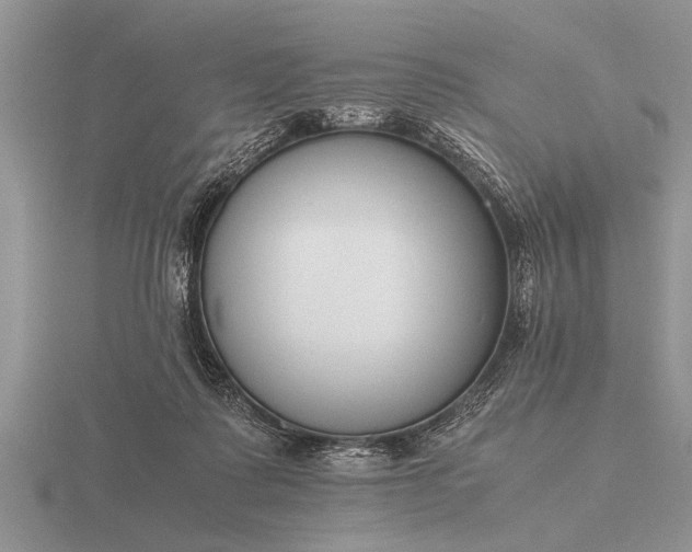 X0000116260315200912141313