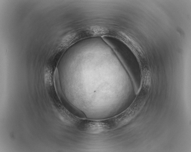 X0000116260316200912141313