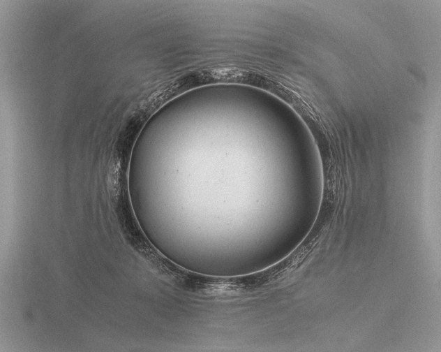 X0000116260319200912141313