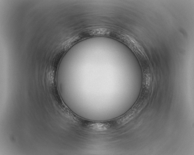 X0000116260326200912141313