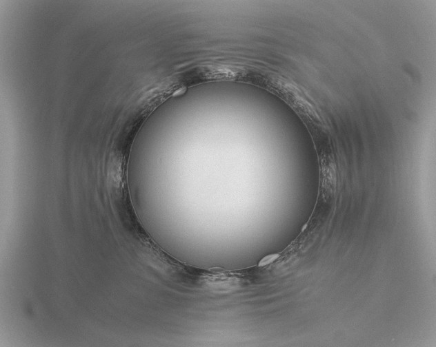 X0000116260331200912141313