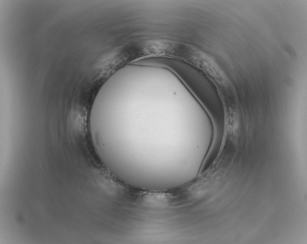 X0000116260332200912141313