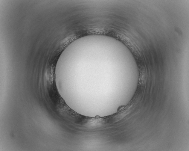 X0000116260334200912141312