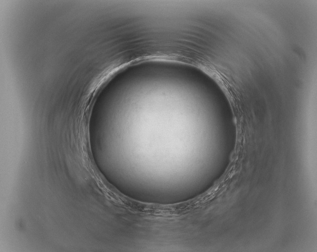 X0000116260337200912141312