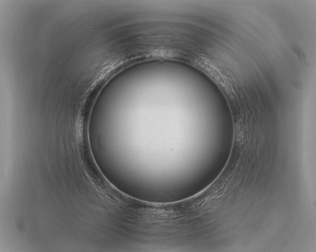 X0000116260347200912141312