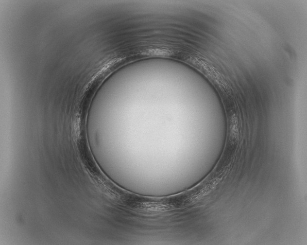 X0000116260351200912141312
