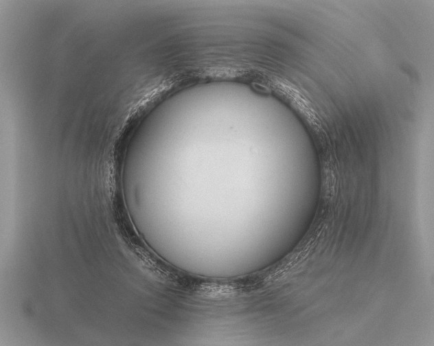 X0000116260354200912141312